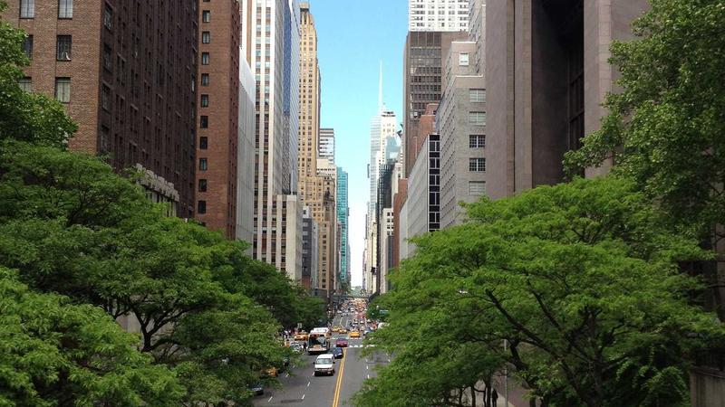 黑料yandex视频大起底